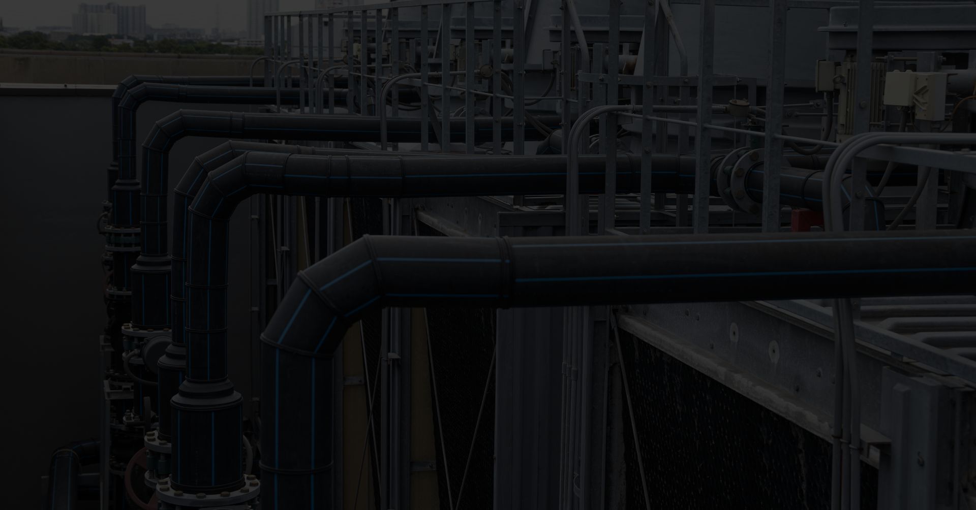 Untitled design (66)